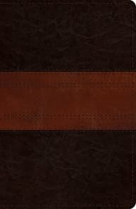 ESV Single Column Journaling Bible