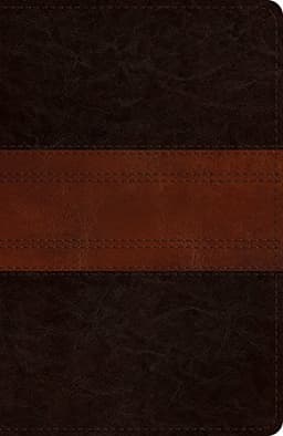 ESV Single Column Journaling Bible